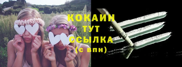 PSILOCYBIN Богородицк