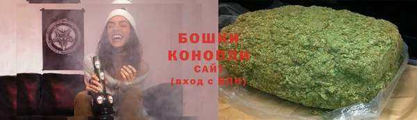 PSILOCYBIN Богородск