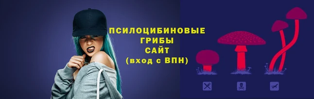 PSILOCYBIN Богородицк