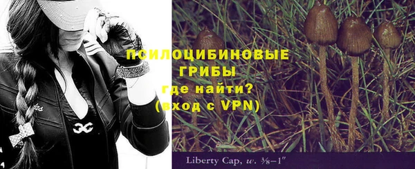 PSILOCYBIN Богородицк