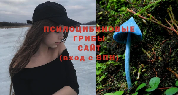 PSILOCYBIN Богородск