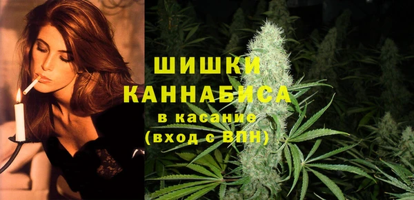 PSILOCYBIN Богородицк