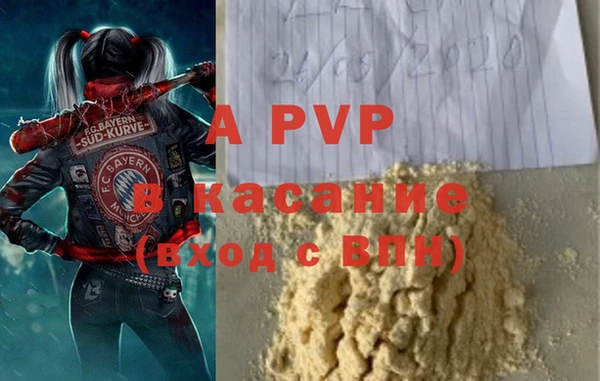 PSILOCYBIN Богородск