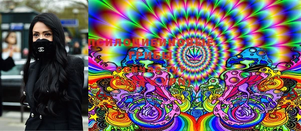 PSILOCYBIN Богородицк