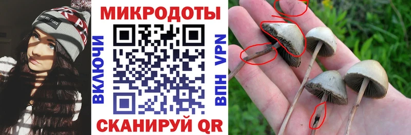 купить наркотики сайты  Котельники  Галлюциногенные грибы Magic Shrooms 